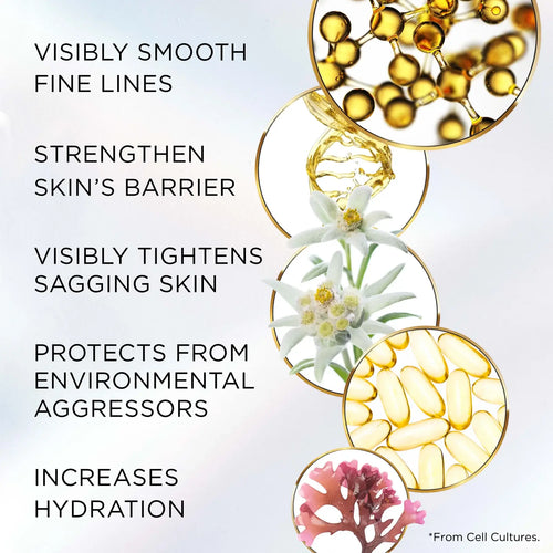 Advanced Ceramide Lift and Firm Night Cream by Elizabeth Arden