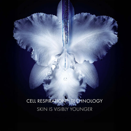 Orchid Conservation: 20,000 orchids replanted in Tianzi reserve, China