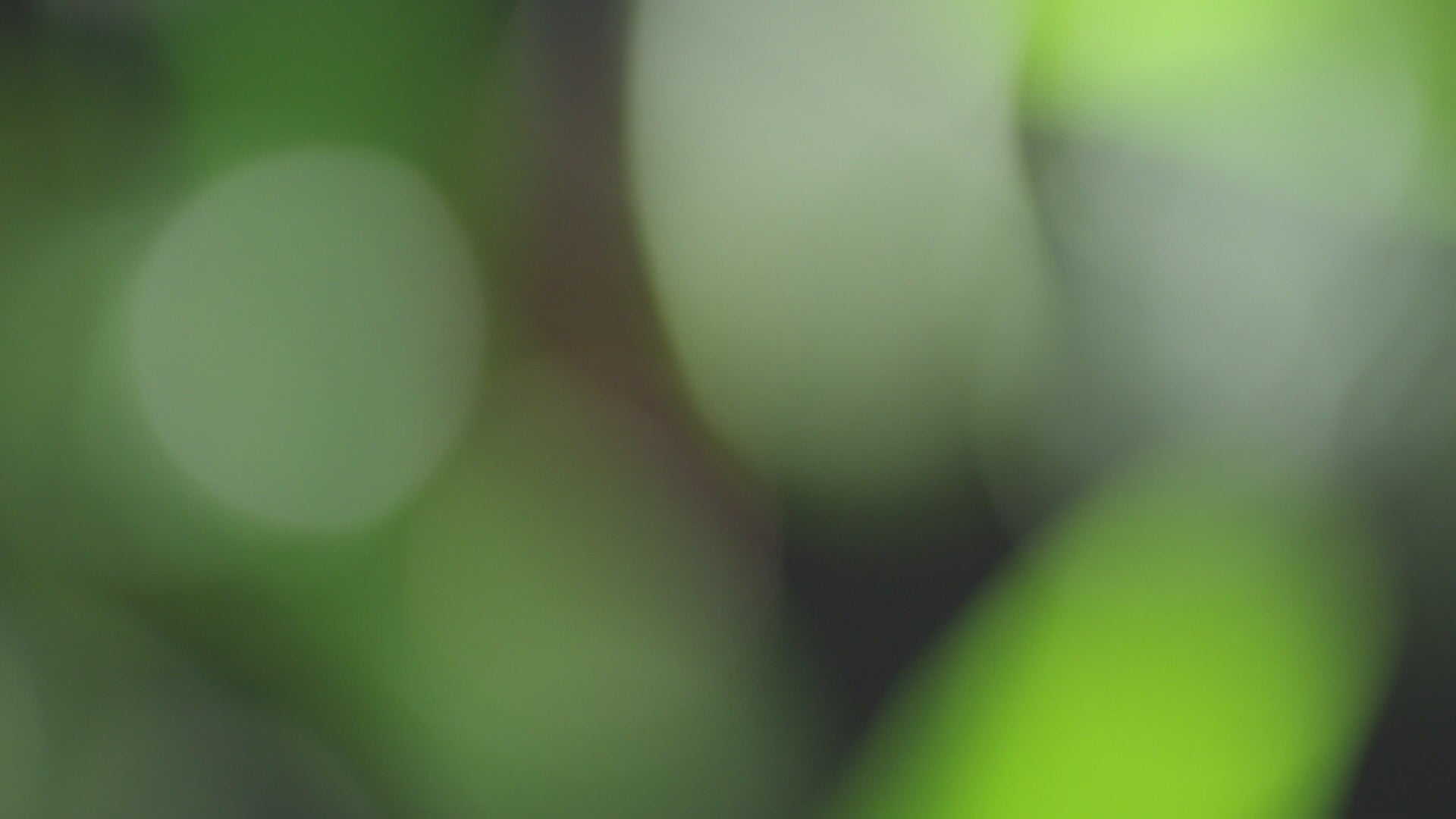 This formula firms the upper eyelids for eyes that look redefined and wider