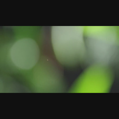 Sisleya L'Integral Anti-Age Eye & Lip Contour Cream