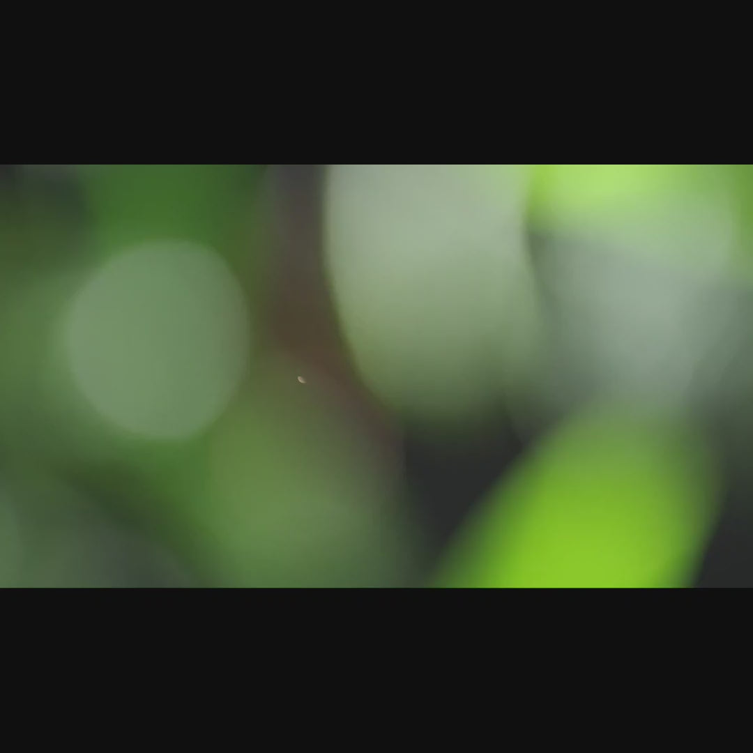 Anti-Age Day & Night Cream by Sisley – Paris