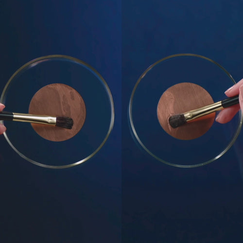 Advanced Night Repair Synchronized  Multi-Recovery Complex by Estée Lauder